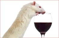 wine 2